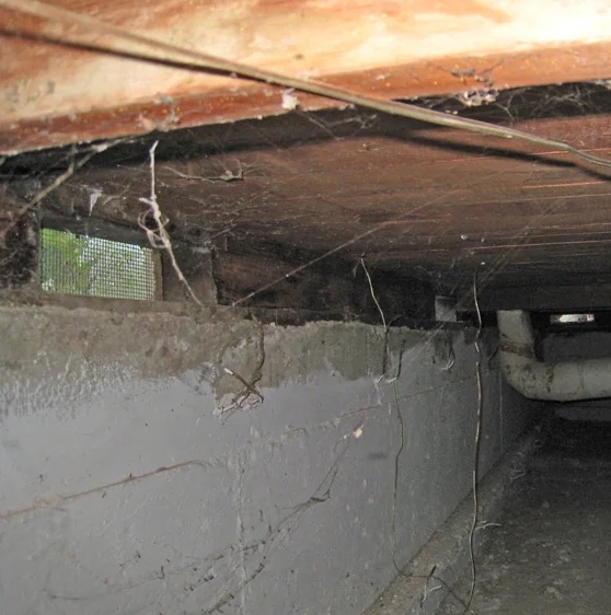Crawlspace Water Damage Cleanup in Saint Paul, MN