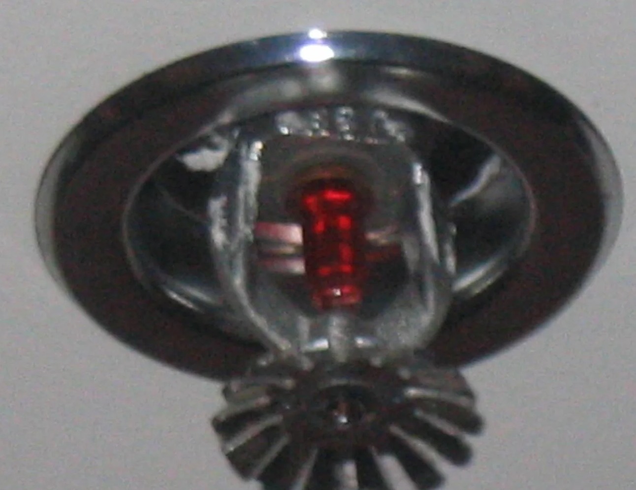 Fire Sprinkler Cleanup in Victoria, MN