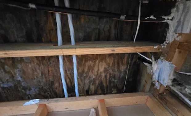 Attic Water Damage Repair in Saint Paul, MN