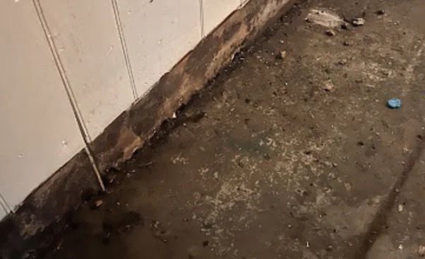 Toilet Overflow Cleanup in Saint Paul, MN