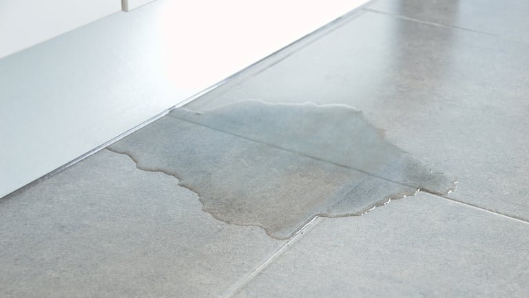 Initial Steps After Discovering Water Damage